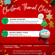 Christmas Themed Classes